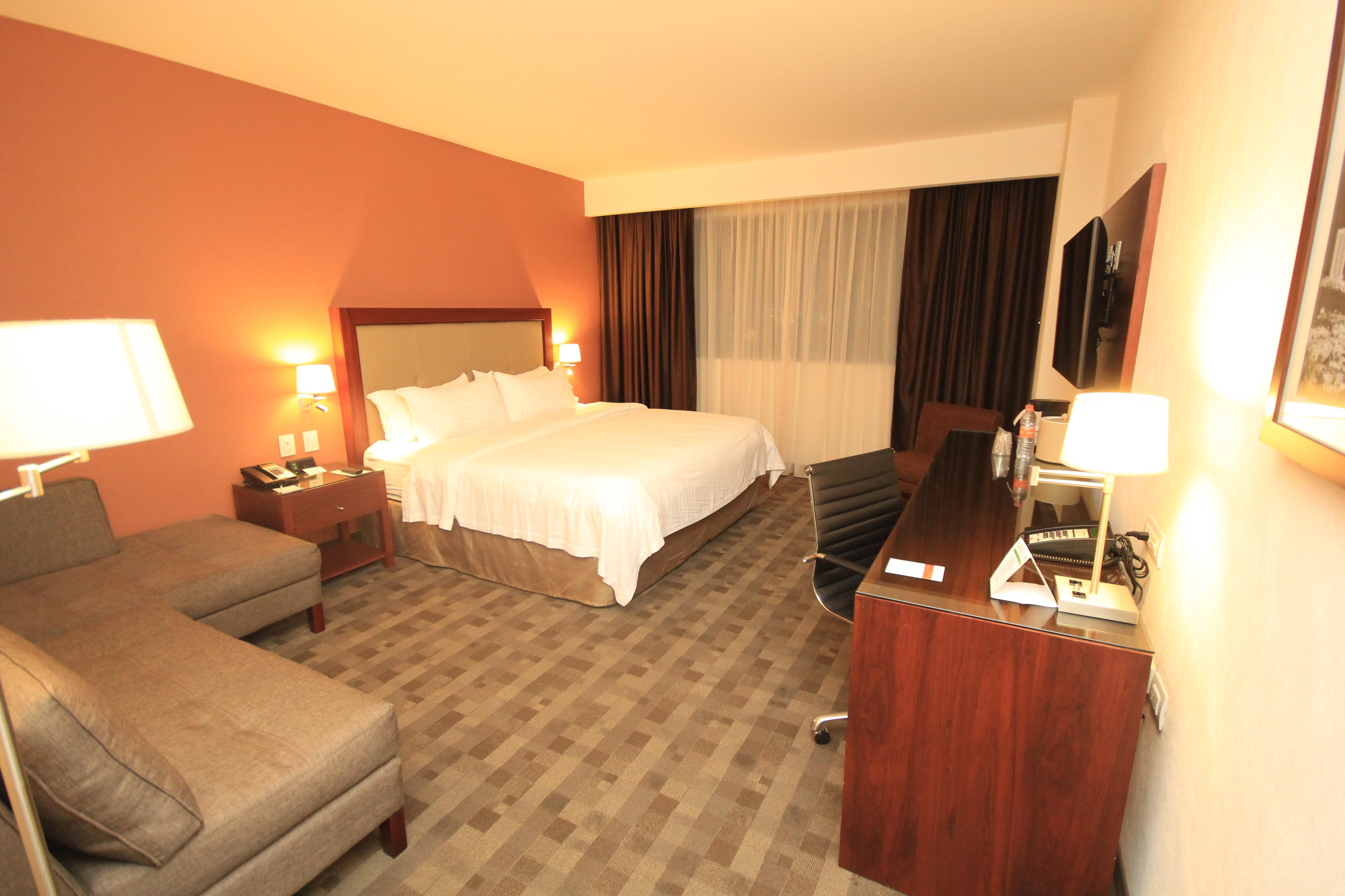 Holiday Inn & Suites Plaza Mayor By Ihg Леон Екстериор снимка