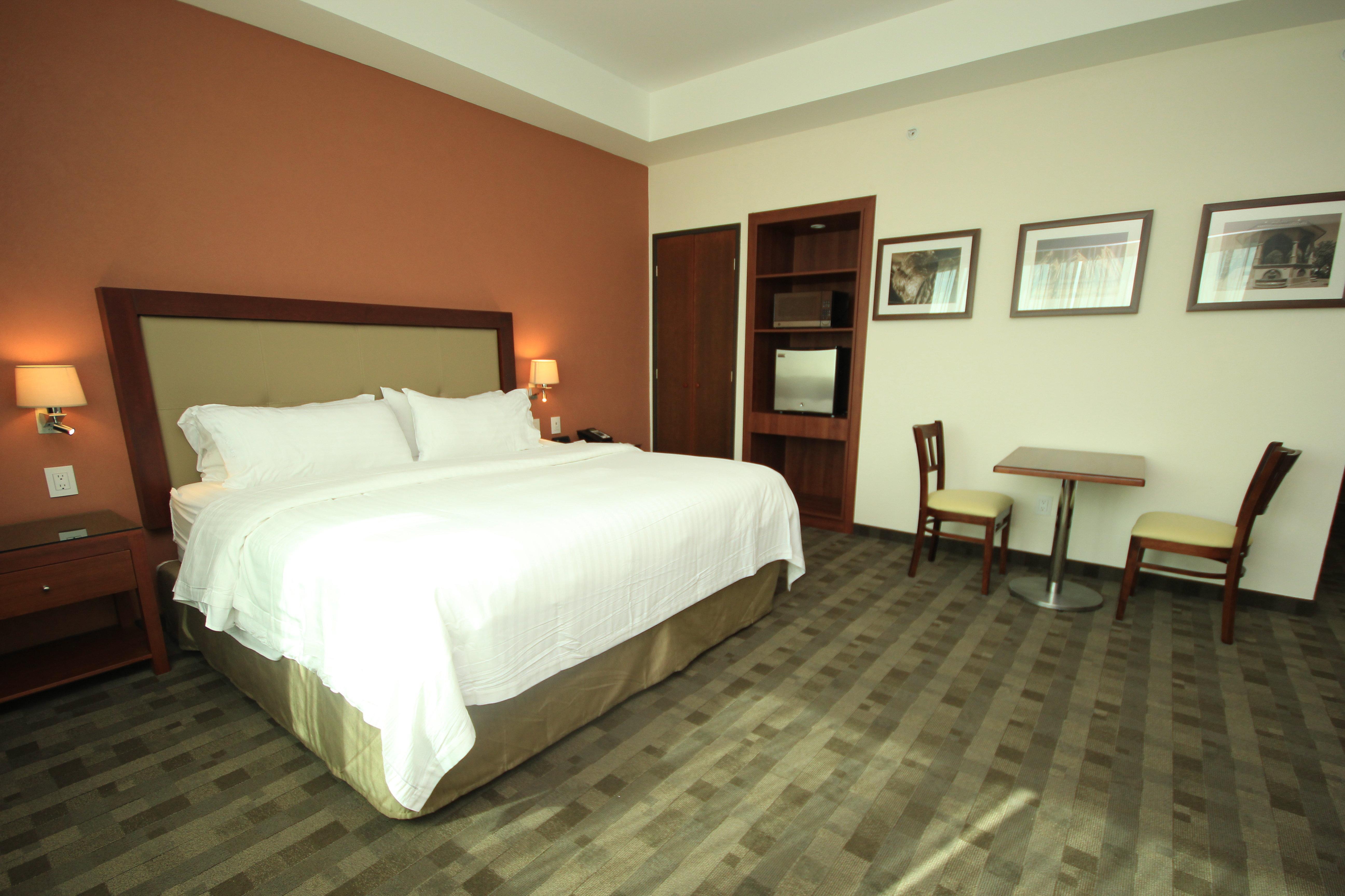 Holiday Inn & Suites Plaza Mayor By Ihg Леон Екстериор снимка